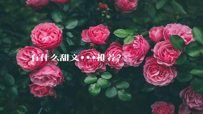 有什么甜文***推荐？