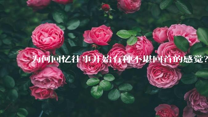 为何回忆往事开始有种不堪回首的感觉？