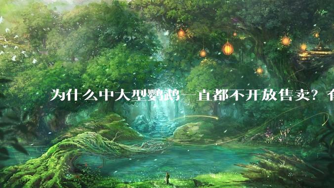 为什么中大型鹦鹉一直都不开放售卖？有哪些原因呢?